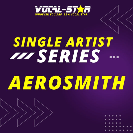 Aerosmith Karaoke Hits Collection