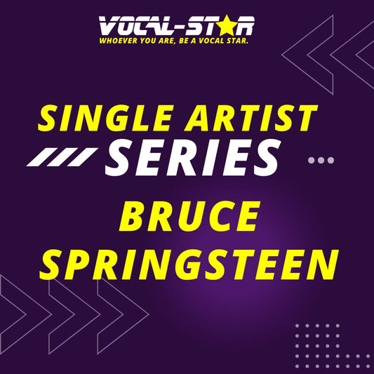 Bruce Springsteen Classics Karaoke Collection