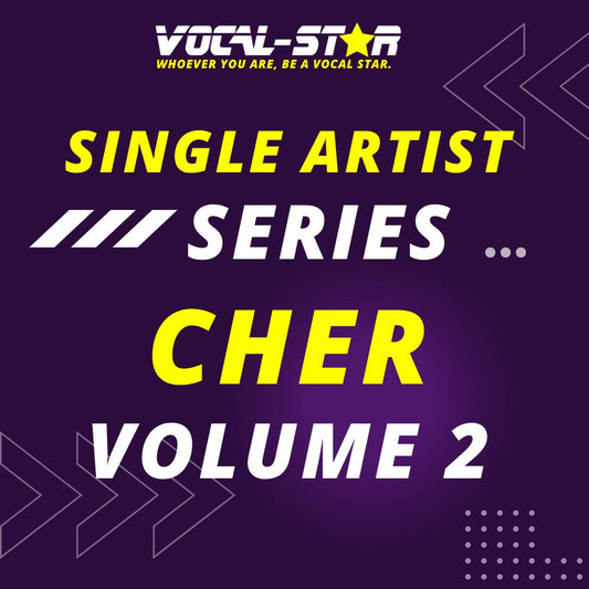 Cher Classics Karaoke Collection Volume Two