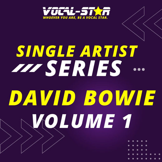 David Bowie Karaoke Collection Volume One