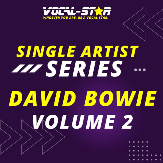 David Bowie Karaoke Collection Volume Two