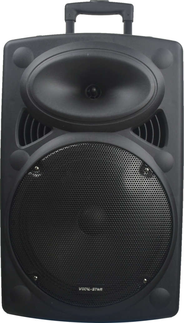 Portable 12″ Active PA Speaker System – 300W, Bluetooth, Twin VHF Wireless Microphones