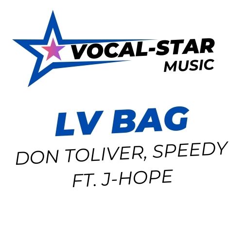 LV Bag