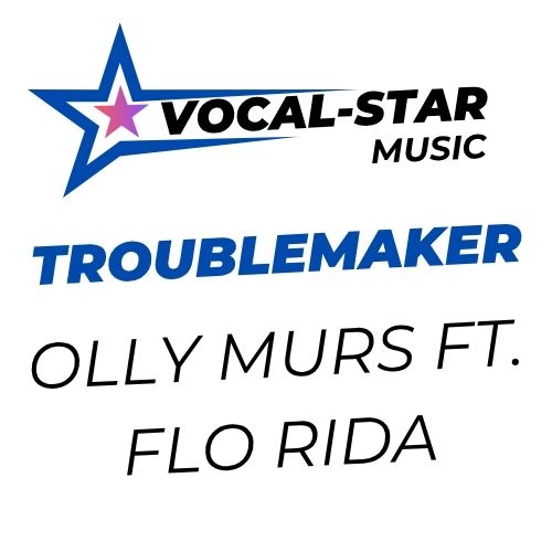 Troublemaker