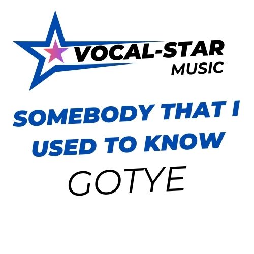 Somebody That I Used To Know