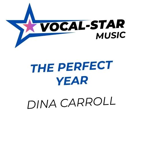 The Perfect Year