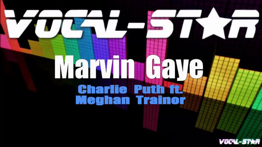 Marvin Gaye