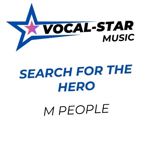 Search for the Hero