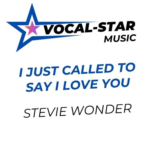 I Just Called To Say I Love You