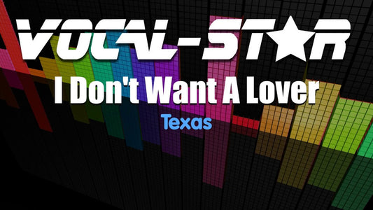 I Don't Want A Lover