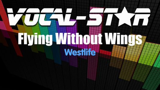 Flying Without Wings