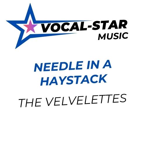 Needle in a Haystack