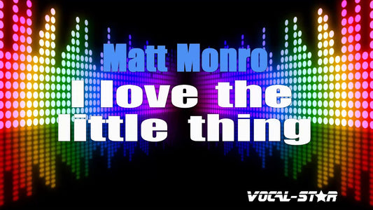 I Love The Little Thing