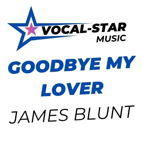Goodbye My Lover
