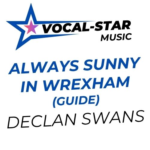 Always Sunny In Wrexham Guide