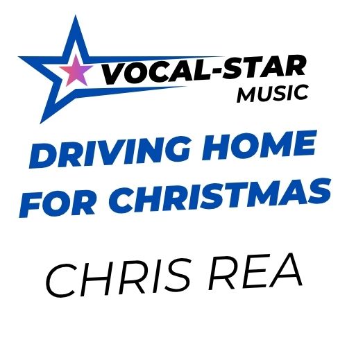 Driving Home For Christmas