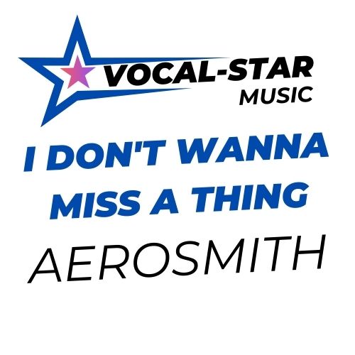 I Don't Wanna Miss A Thing