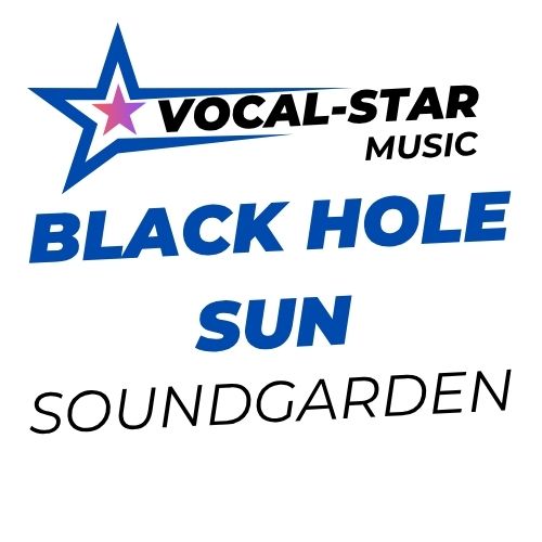 Black Hole Sun