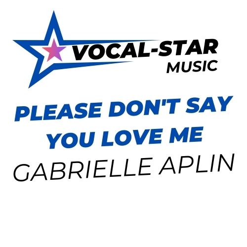Please Don't Say You Love Me