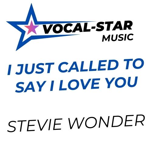 I Just Called To Say I Love You