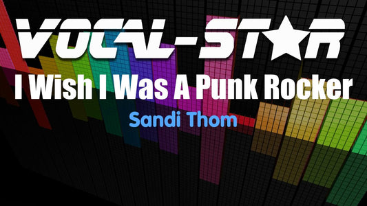 I Wish I Was A Punk Rocker