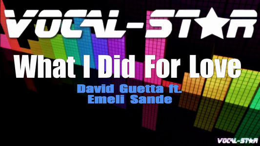 What I Did For Love