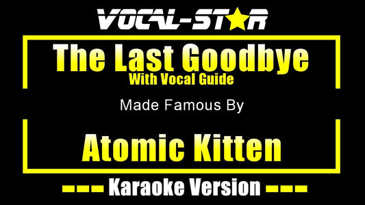 The Last Goodbye